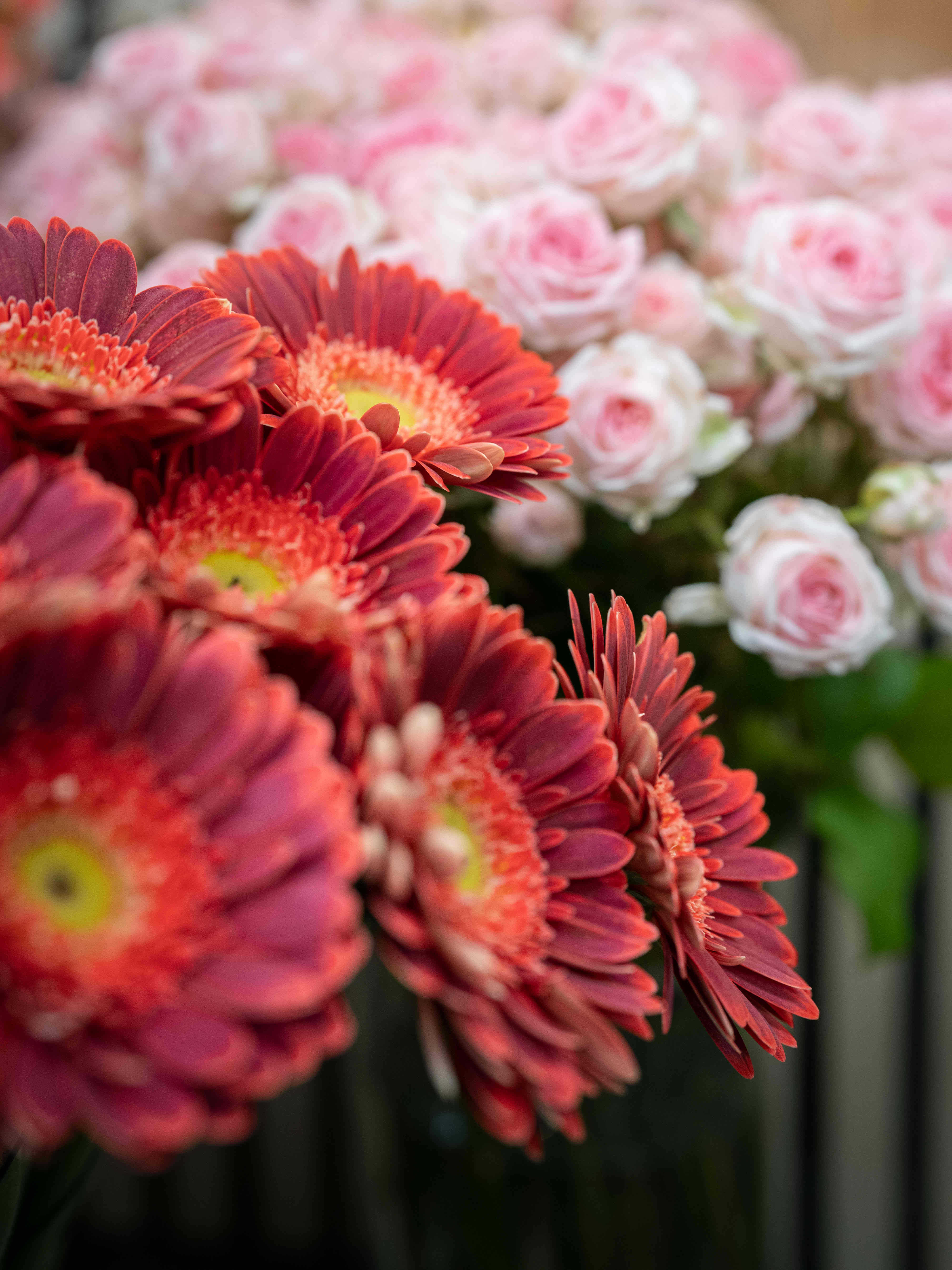 Blumenarrangement 1