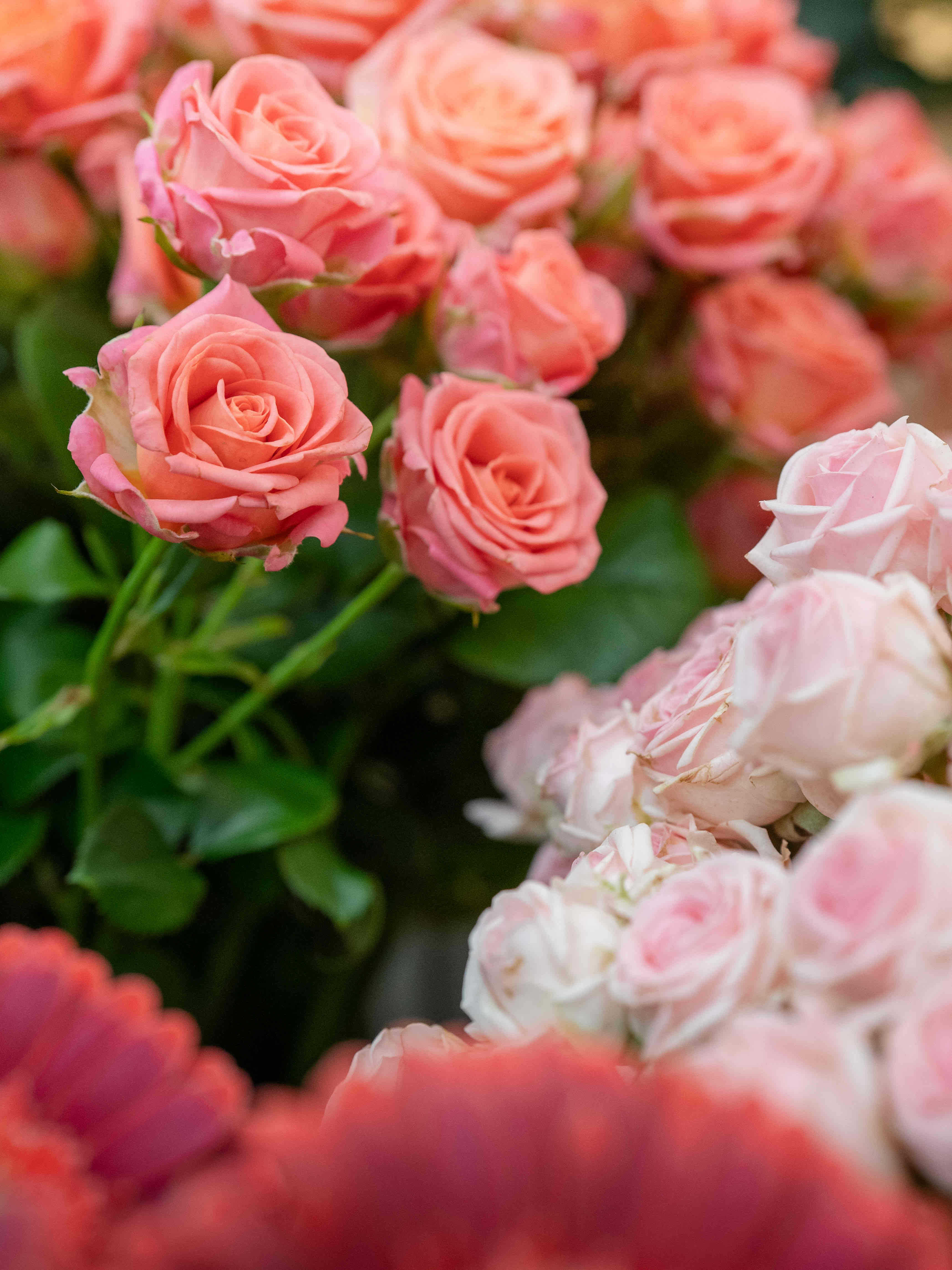 Blumenarrangement 6