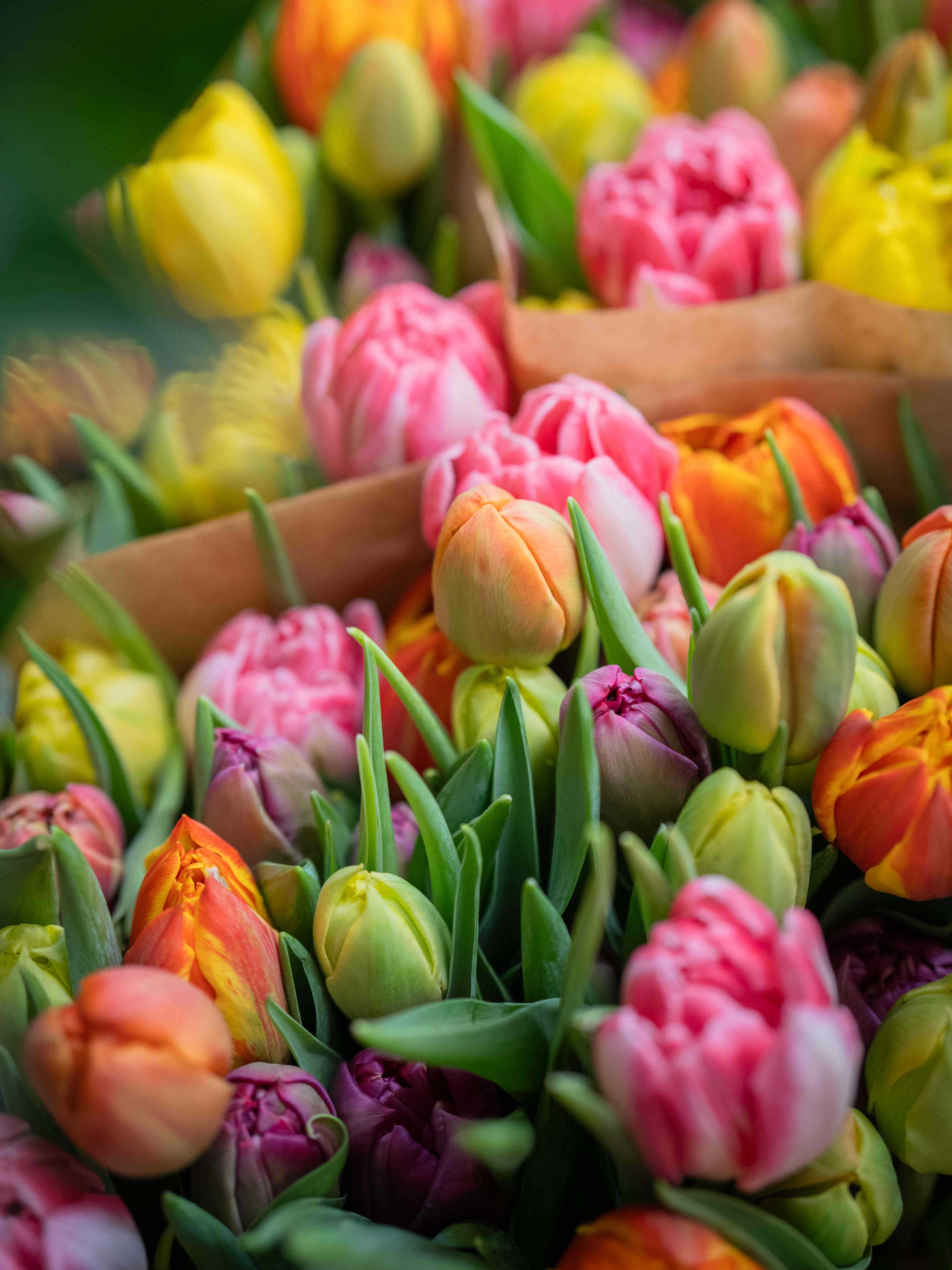 Blumenarrangement 9